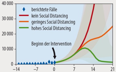 Die Pandemie im Modell