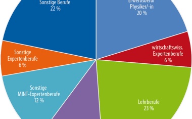 Der Arbeitsmarkt für Physikerinnen und Physiker