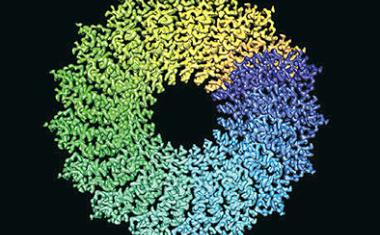 Eiskalte Schnappschüsse von Biomolekülen: Kryo-Elektronenmikroskopie