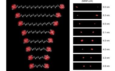 Biomoleküle hochpräzise optisch vermessen