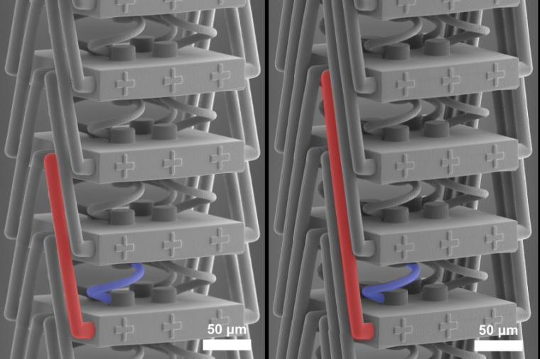 Abb.: Das neue Metamaterial unter dem Rasterelektronenmikroskop: Eine spezielle...