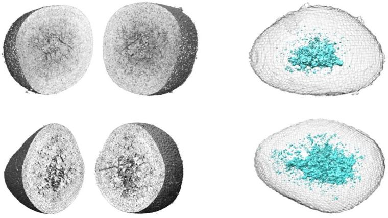 Abb.: Nanotomographische Aufnahmen eines LRTMO-Teilchen vor dem ersten...