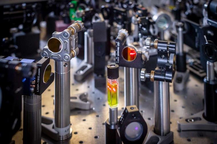 Abb.: Quantenmechanik hilft bei der Photosynthese: Untersuchung einer Probe mit...