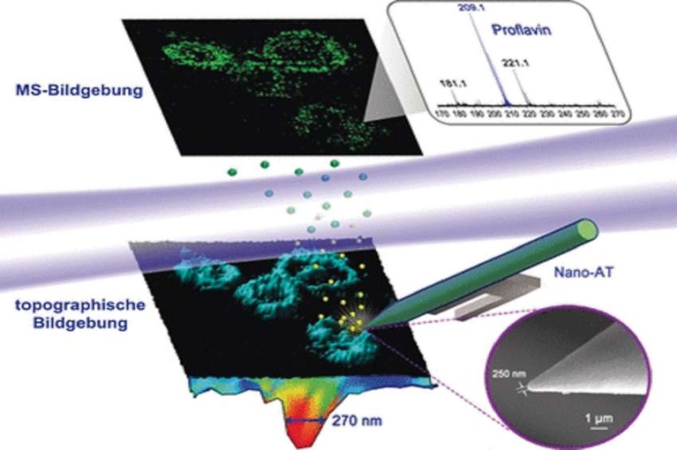 Abb.: Nahfeld-Desorptions-Massenspektrometrie ermöglicht nanoauflösende...